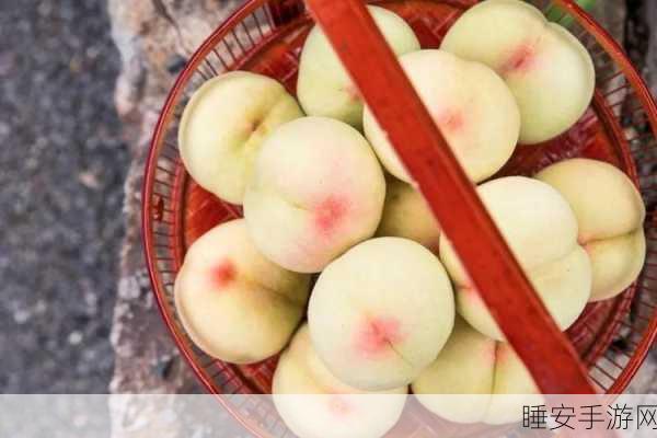蜜桃成熟时5D:桃花源记5D" 🍑
