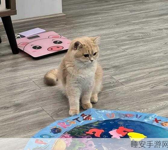 全新养猫领红包手游撸猫大亨上线,萌宠互动赢金币大奖!