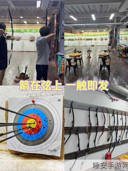 箭箭剑,策略射箭小游戏,挑战你的精准与智慧