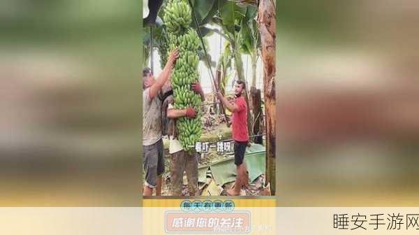 香蕉视频无限观看:香蕉视频畅享无限" 🍌