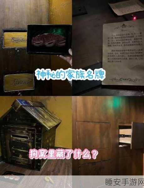 暗黑密室逃生迷雾,挑战你的智慧与勇气