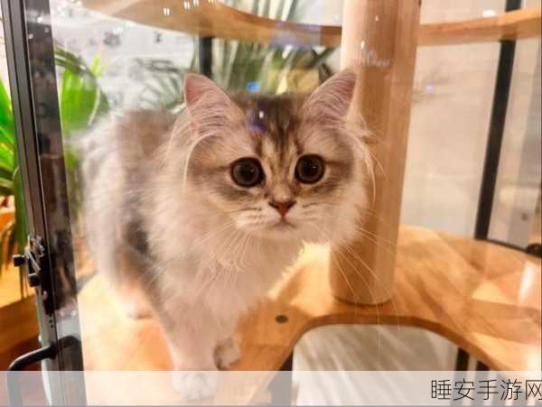 萌犬家族,萌宠养成大赛,打造你的梦幻乐园!