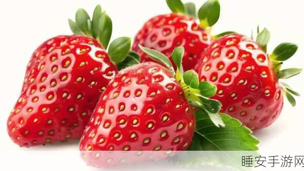 深夜草莓視頻污:夜晚的草莓视频分享" 🍓