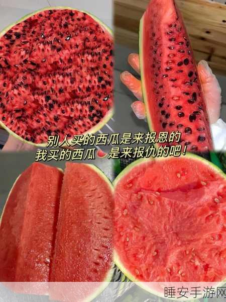 51吃瓜今日吃瓜网:今日吃瓜快报51" 🍉