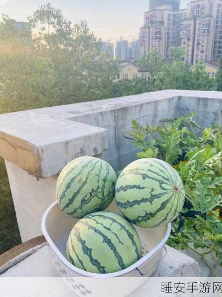 51吃瓜今日吃瓜网:今日吃瓜快报51" 🍉