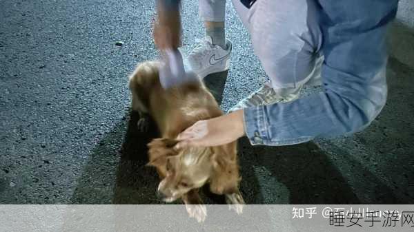 男同：男性同性恋者＂🌈