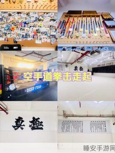 空手道武术大师,沉浸式战斗冒险,挑战你的格斗极限!