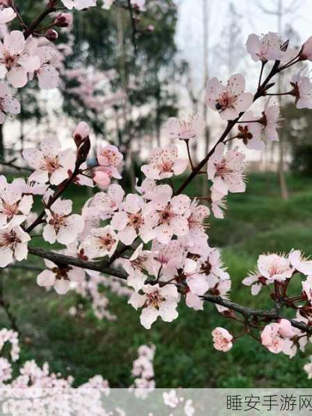 桃花洞口芳草凄凄:桃花洞外幽草青青" 🌸