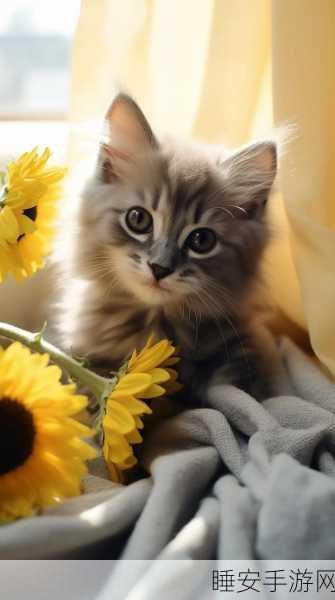 猎云猫咪安卓版上线,萌宠射击新体验,休闲竞技两不误