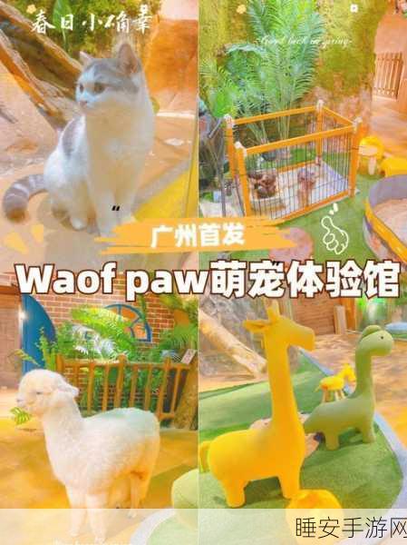 猎云猫咪安卓版上线,萌宠射击新体验,休闲竞技两不误