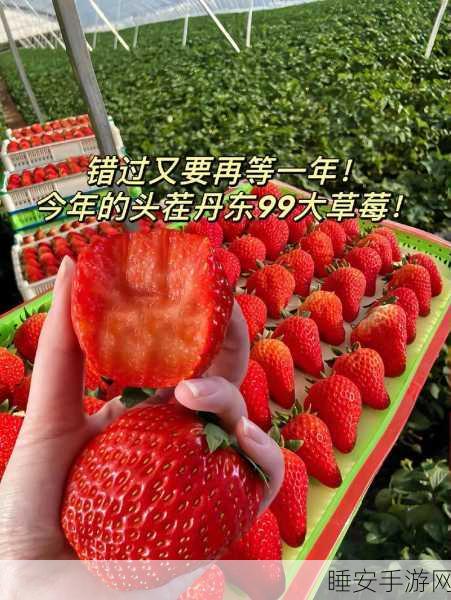 草莓小视频:草莓趣速播"🍓