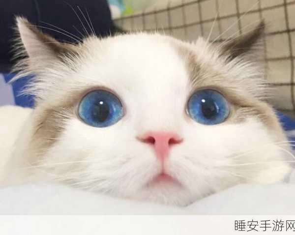 像素风休闲新宠,超能喵星人下载热潮,萌宠对决乐趣无限!