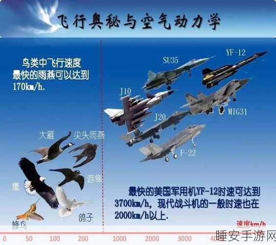 探索飞行奥秘,飞行物体起飞原理寓教于乐休闲益智手游深度解析