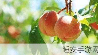 水蜜桃视频:蜜桃时光视频" 🍑