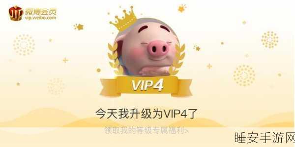 51永久vip:永恒的51 VIP特权"✨