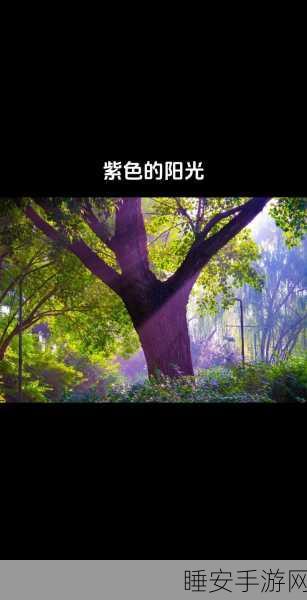 免费ps一二级调色大片:免费PS二级调色大作" 🎨