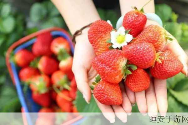 草莓视频黄版:草莓视频成人版" 🍓