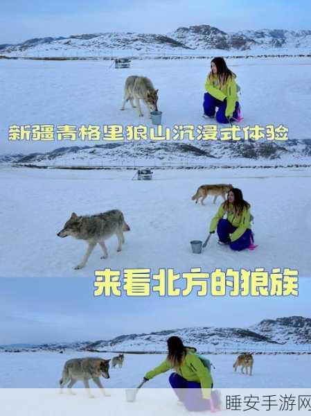 狼族2模拟器震撼上线,沉浸式狼生存冒险,挑战自然法则!