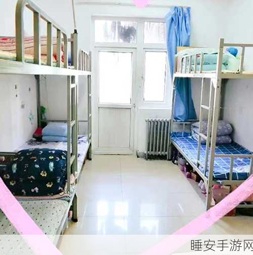 大学宿舍506寝室灯灭了以后:大学宿舍506寝室灯熄灭后"💡