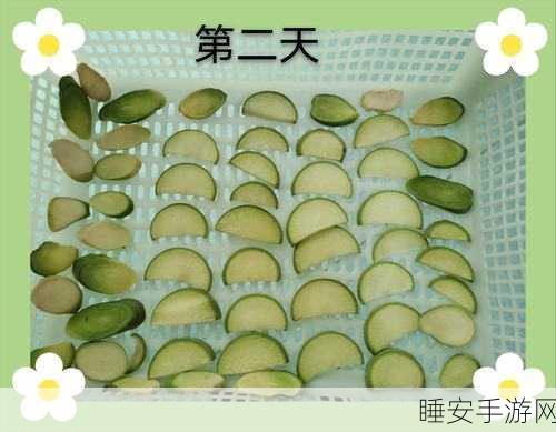 三女一男床上把萝卜:四人同床趣事" 😄