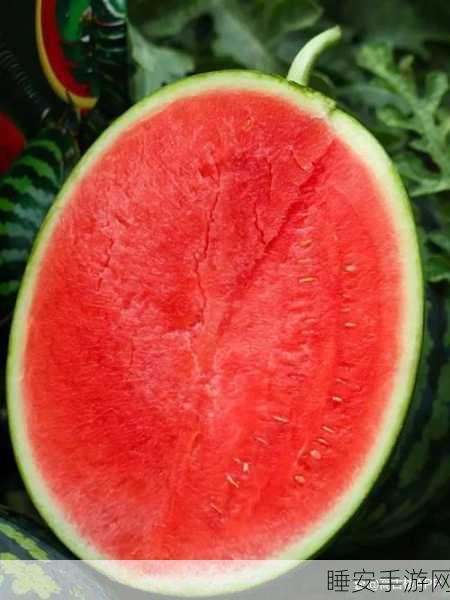 朝阳群众吃瓜网:朝阳群众八卦平台" 🍉