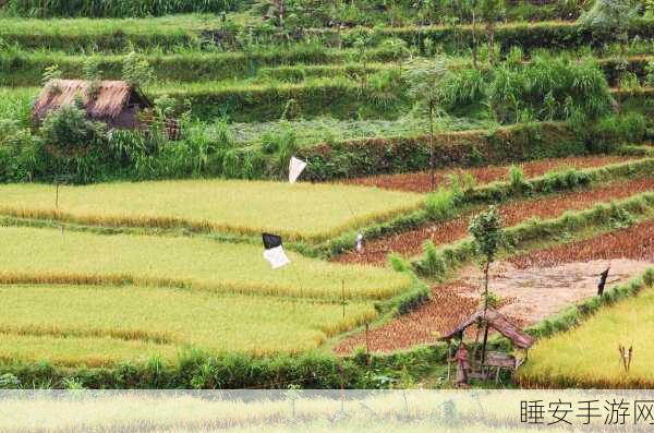 儿子耕种母亲的田地叫什么名字:母亲的田地由儿子耕种称为何名?" 🌾