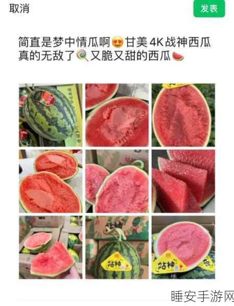 51吃瓜今日吃瓜:今日瓜闻大集合" 🍉