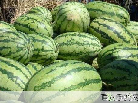 51吃瓜今日吃瓜:今日瓜闻大集合" 🍉