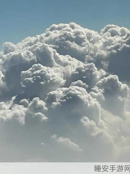tai9.cc 复制:tai9.cc 副本" ☁️