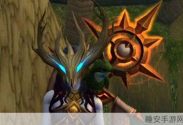 wow海盗日护甲:惊艳的海盗日护甲"🛡️