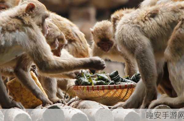 男生女生一起生猴子APP:男女共同互动的猴子游戏APP" 🐒