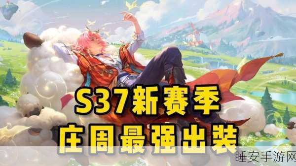 嗨氏庄周出装秘籍,打破常规,制霸战场