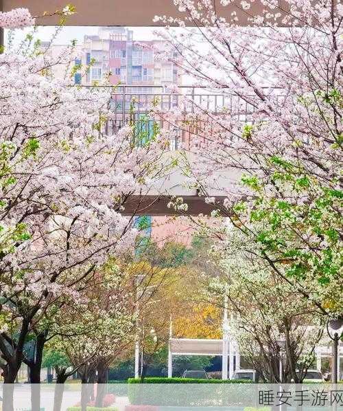 都市激情 校园春色:城市热情 校园风华" 🌸