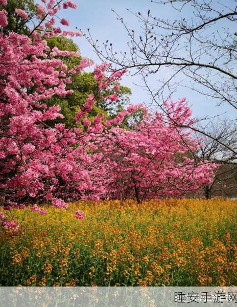 都市激情 校园春色:城市热情 校园风华" 🌸