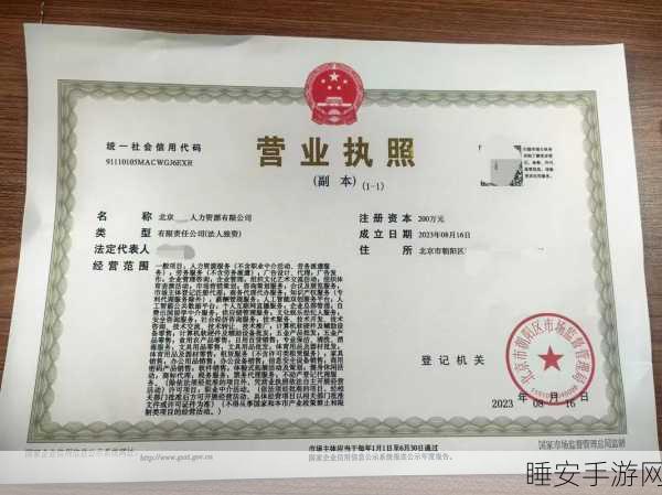 久产九人力资源有限公司:“久盛九人力资源有限公司”😊