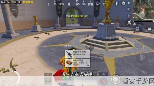 龙珠激斗,新手必知的前期无敌阵容秘籍