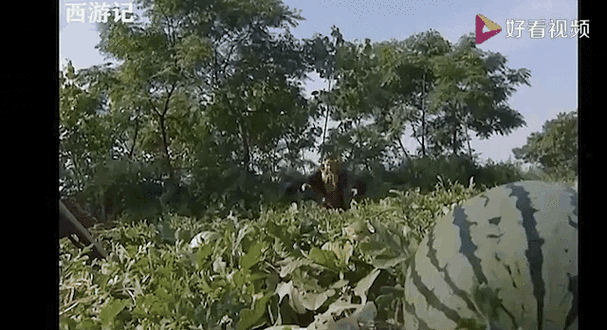 17ccc吃瓜爆料视频:17ccc八卦吃瓜视频" 🍉