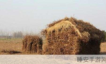 柴火垛里的疯狂55集一共多少集:柴火垛里的疯狂55集总共有多少集呢?" 😄
