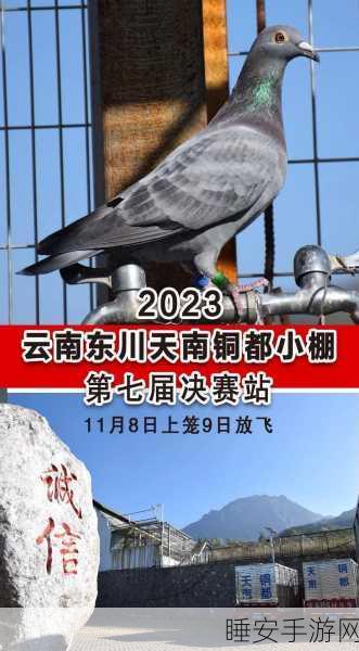 天南铜都秋棚小棚:秋季铜都的小棚子" 🍂