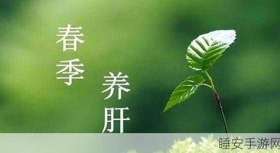 《办公室强肝》:《职场养肝宝典》🍃