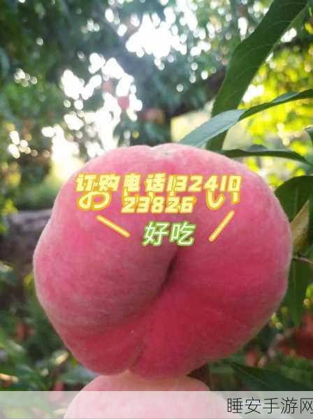 坤坤寒进别人桃子里:坤坤闯入他人果园" 🍑