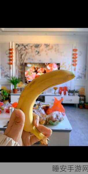香蕉视频哟哟网:香蕉视频乐园" 🍌