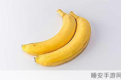 香蕉视频哟哟网:香蕉视频乐园" 🍌