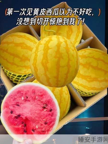 五一吃瓜网黄色:五一美食时光!🍉