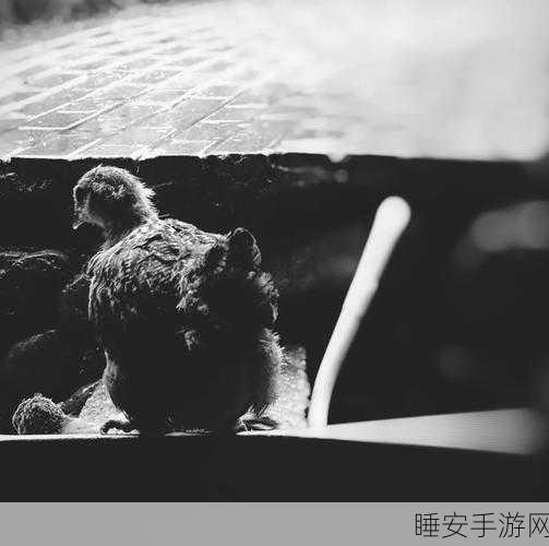 搞鸡time恶心:恶心的搞鸡时刻"😖