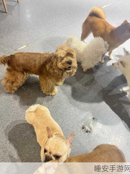 小女孩把第一次给狗的有吗:小女孩首次给狗喂食的经历🐶