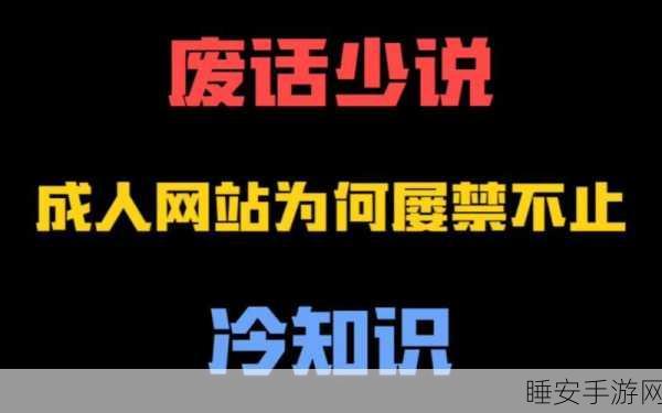 18岁禁的网站:18岁以上才可访问的网站" 🌐