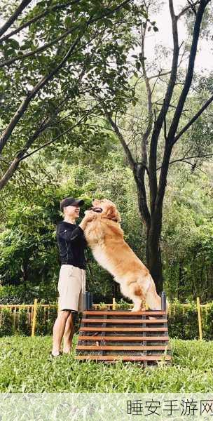 玩人狗大战的实现方法:人狗大战的实现方式" 🐶