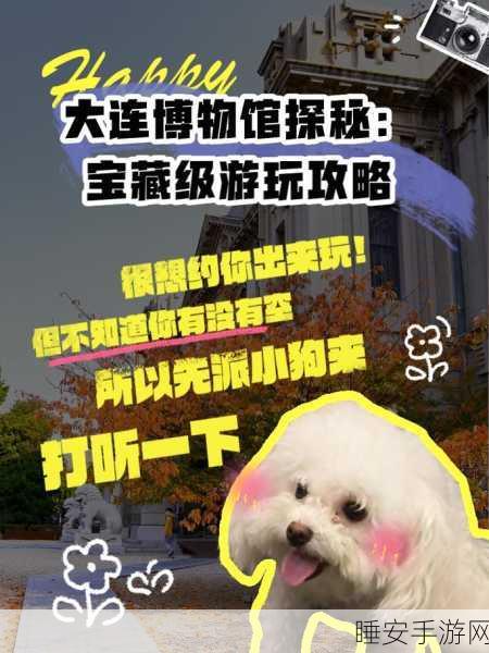 宝藏岛屿,消除乐趣新体验,探索无尽奇趣世界