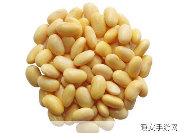 麻花豆精产国品一二三产品:麻花豆精系列产品介绍" 🌟